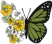 creations-emerald-wings.webp